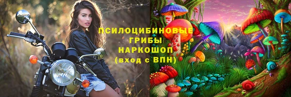Альфа ПВП Козловка